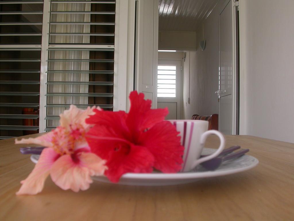 Willa Maison De Vacances A St Anne Martinique Sainte-Anne Zewnętrze zdjęcie